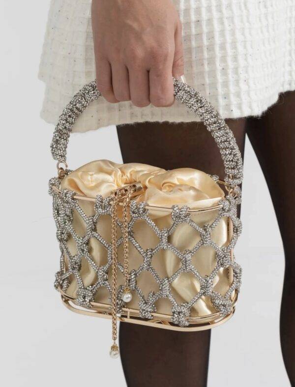 Dimante Bucket Bag